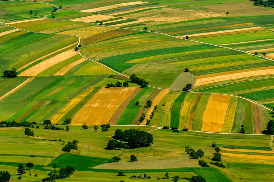 Paesaggio agricolo