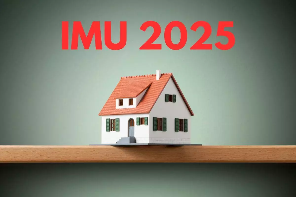 IMU 2025