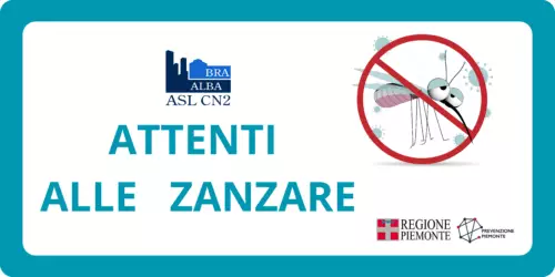 Zanzare